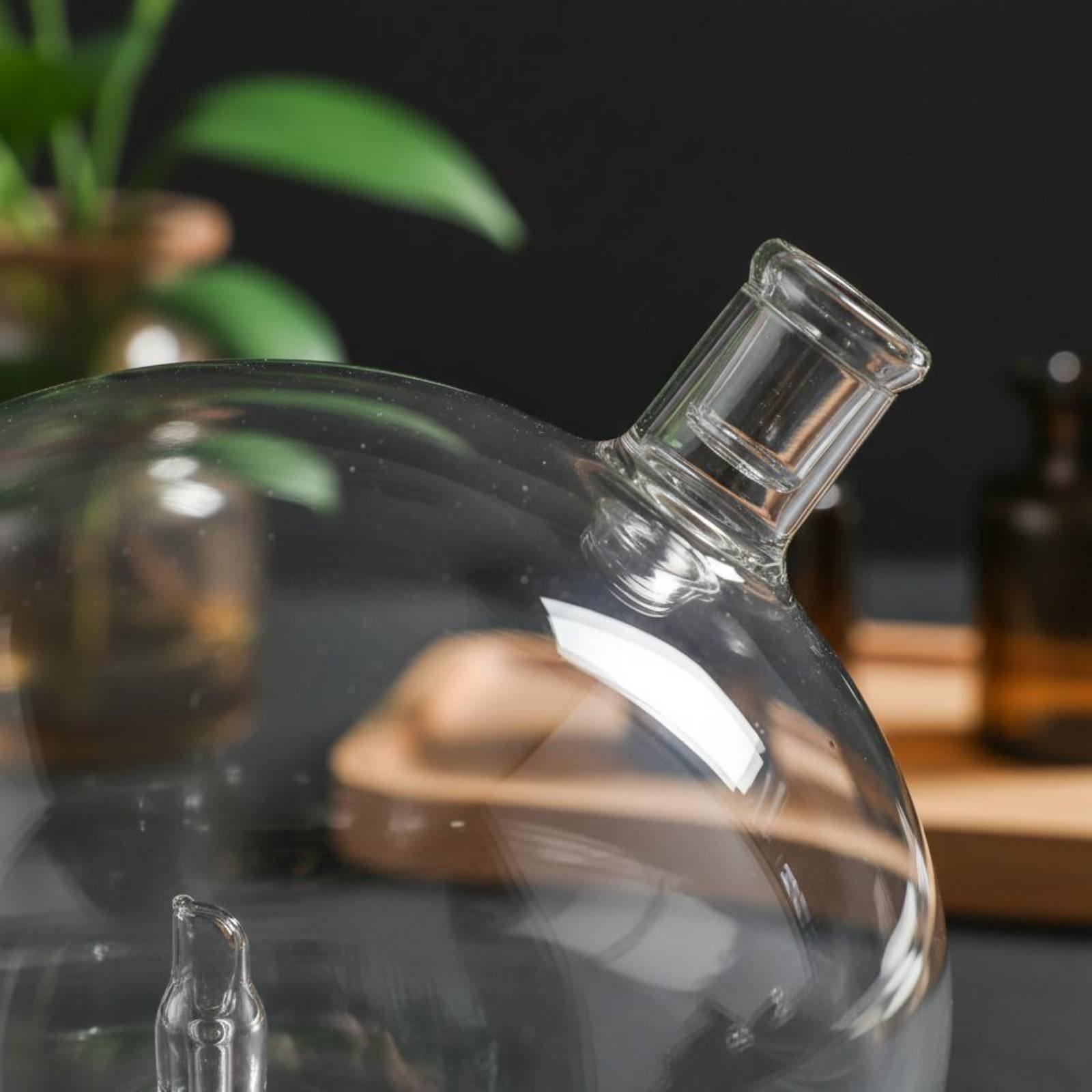 Botella Difusora de Vidrio de  - Home Fragrance Usa reseña y precio